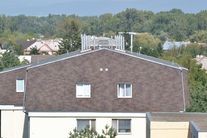 foto k příspěvku  od Proffesor_W