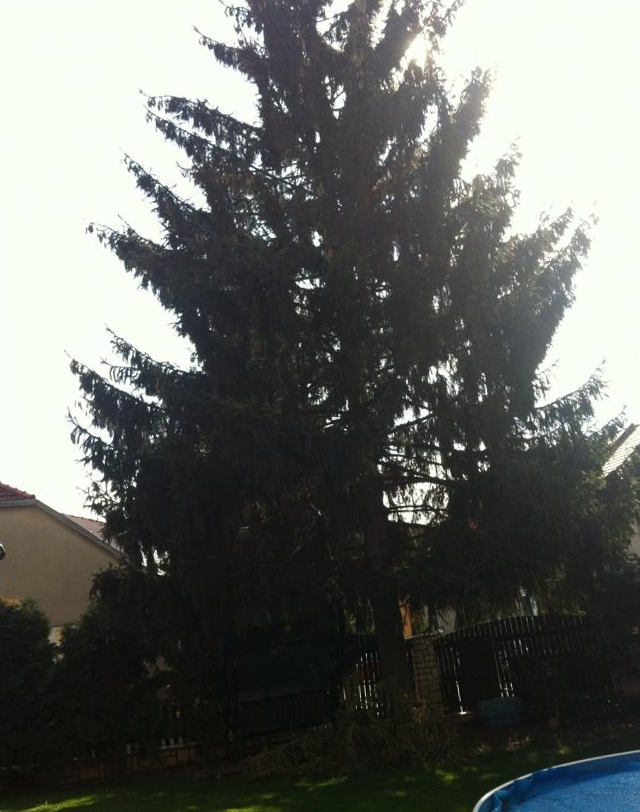 foto k příspěvku  od ruffrider