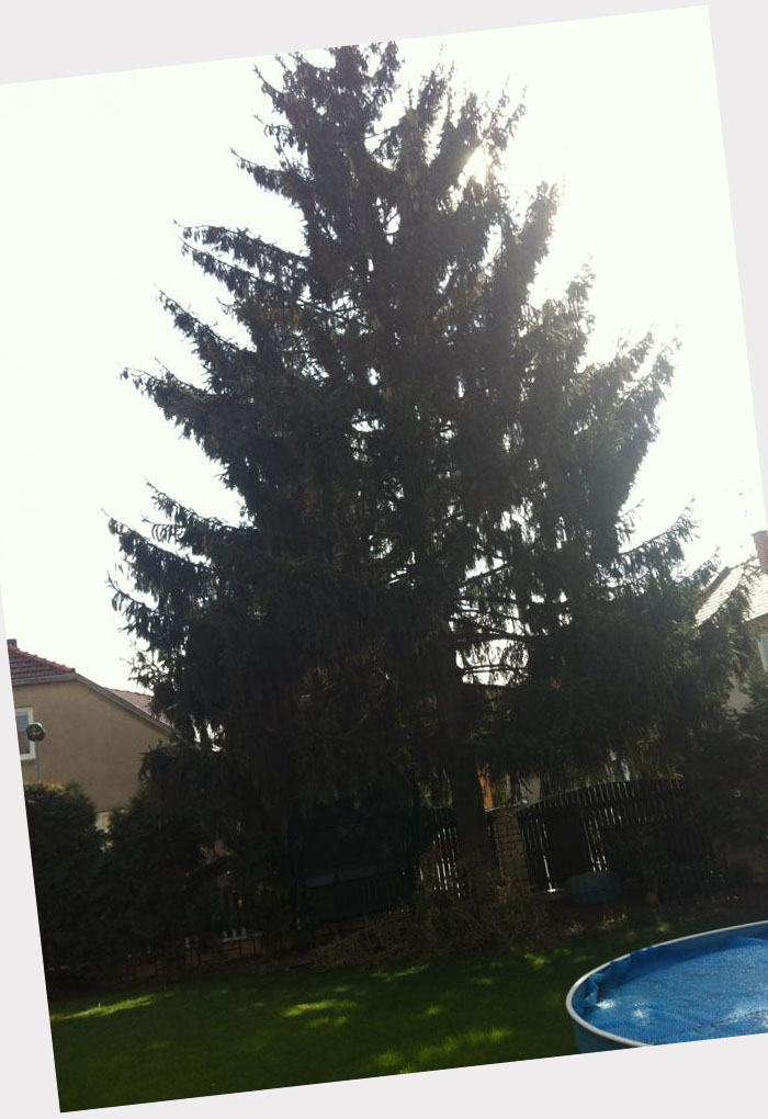 foto k příspěvku  od CRK