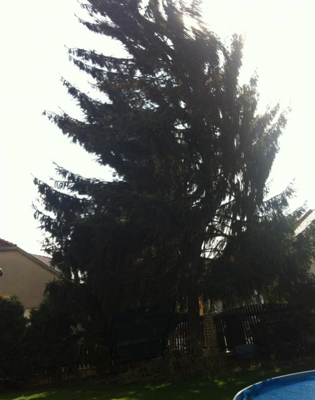 foto k příspěvku  od ruffrider