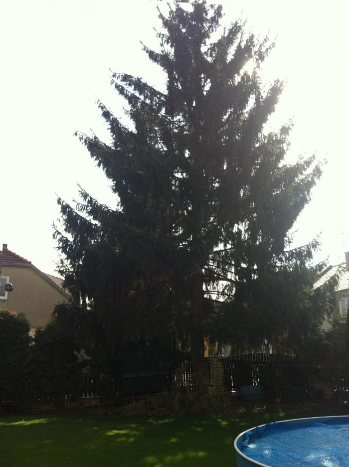 foto k příspěvku  od Lukasino