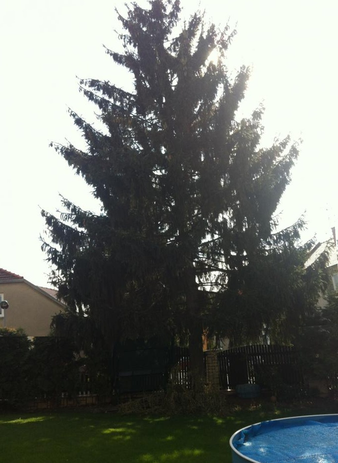 foto k příspěvku  od Lukasino