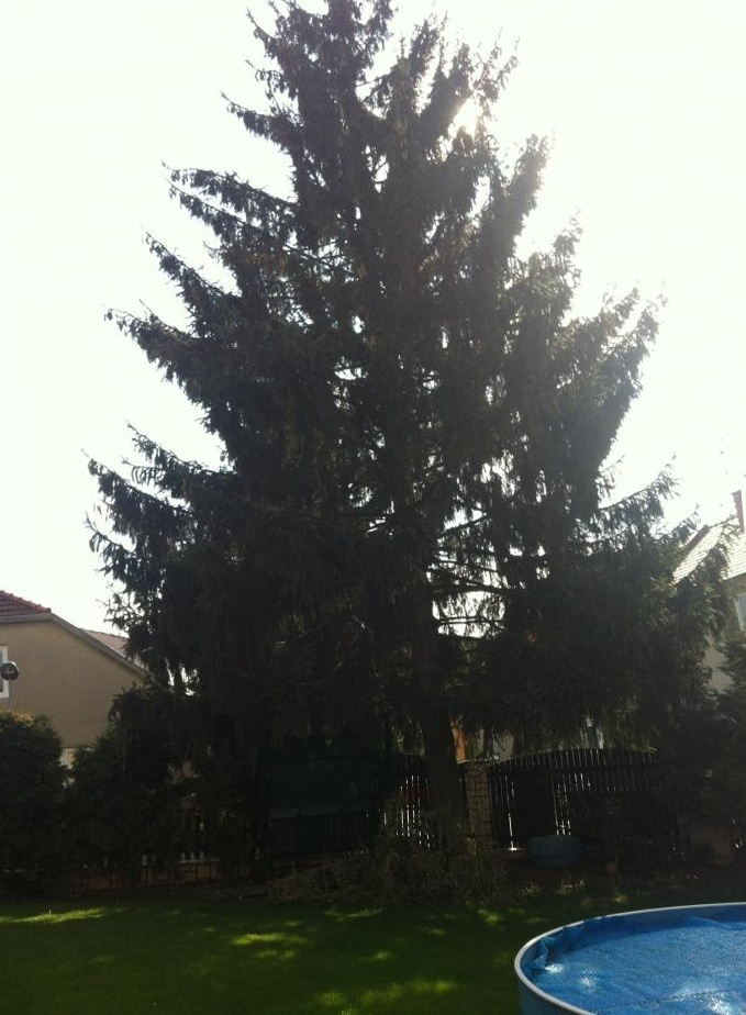 foto k příspěvku  od Lukasino