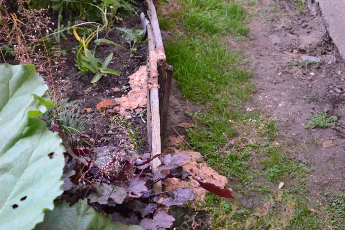 foto k příspěvku  od DaveX