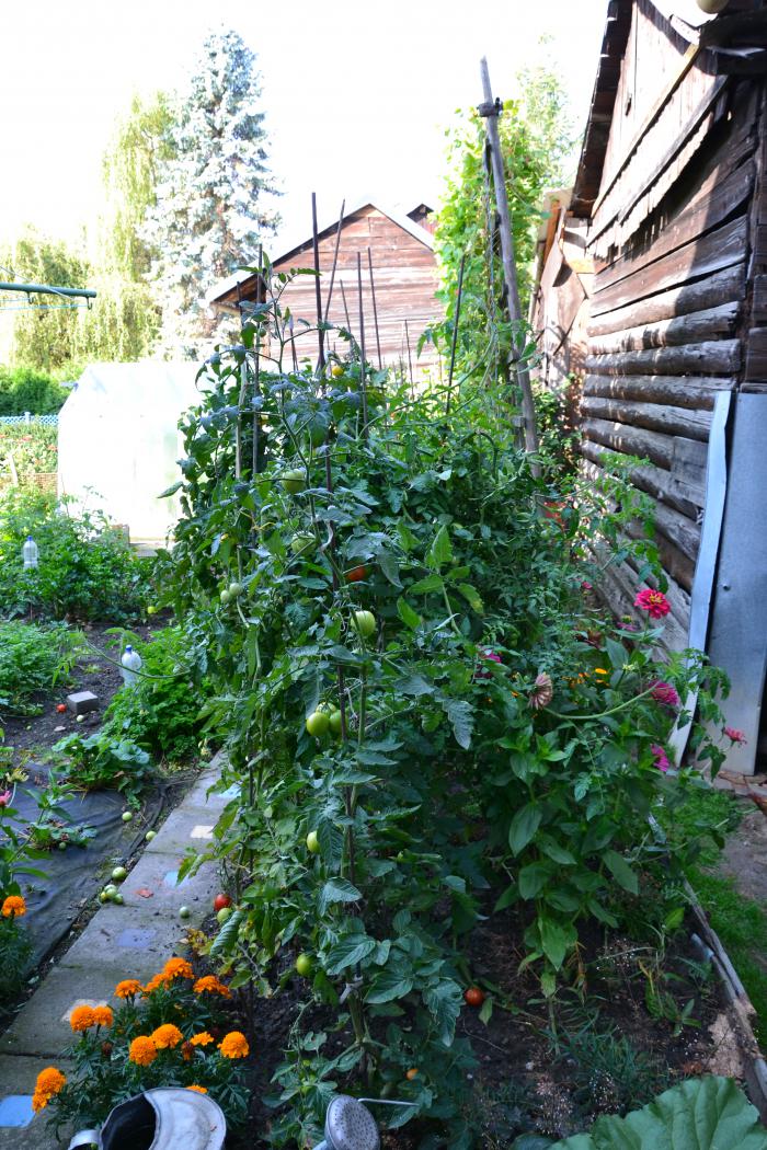 foto k příspěvku  od DaveX