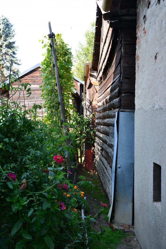 foto k příspěvku  od DaveX