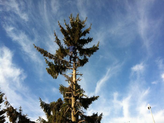 foto k příspěvku  od tesil