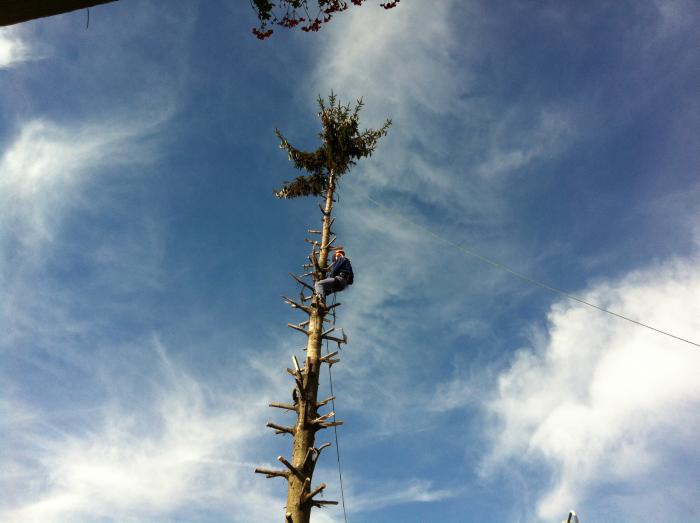 foto k příspěvku  od tesil