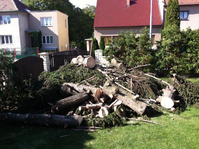 foto k příspěvku  od tesil