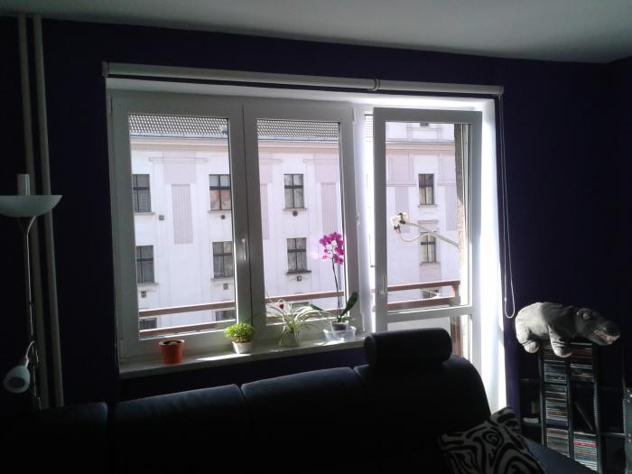 foto k příspěvku  od gizmi