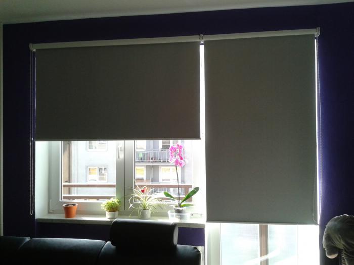 foto k příspěvku  od gizmi