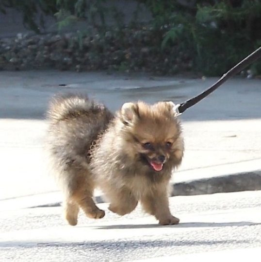 foto k příspěvku  od All