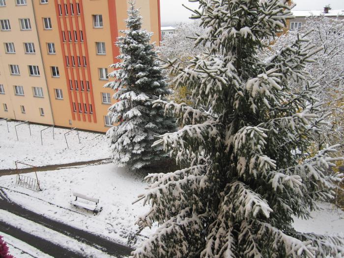 foto k příspěvku  od bobo