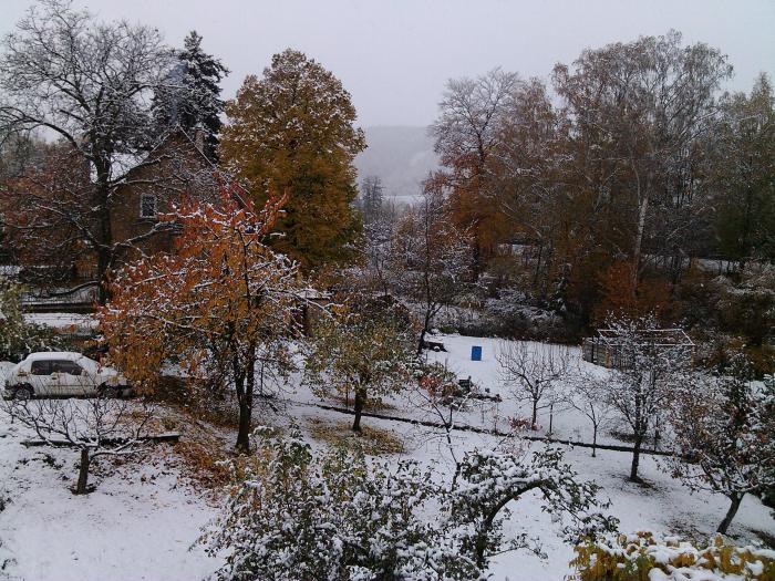 foto k příspěvku  od Tendr