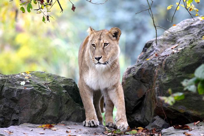 foto k příspěvku  od Mr.Scully