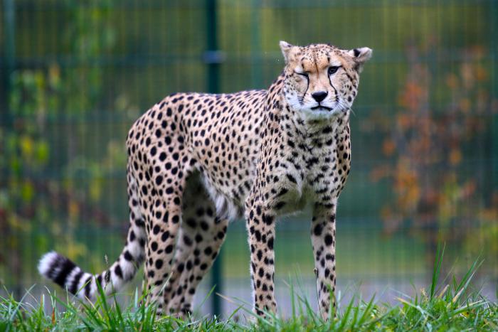 foto k příspěvku  od Mr.Scully