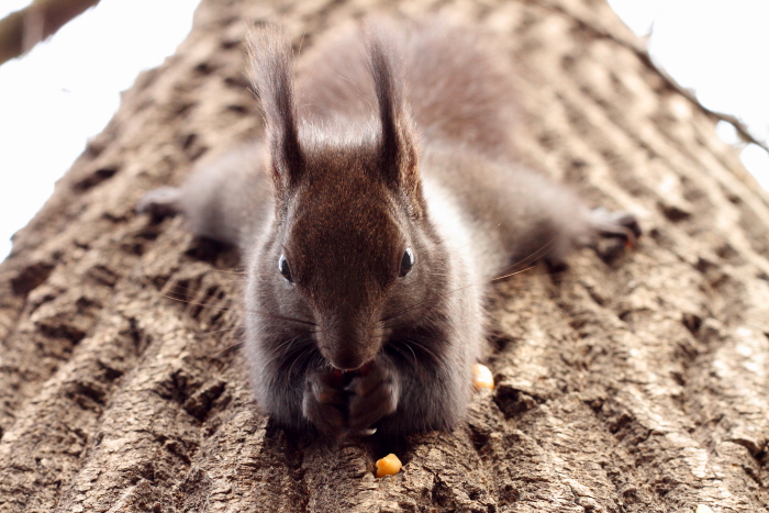 foto k příspěvku  od Atrey