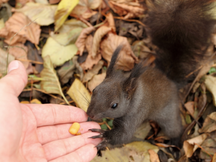 foto k příspěvku  od Atrey