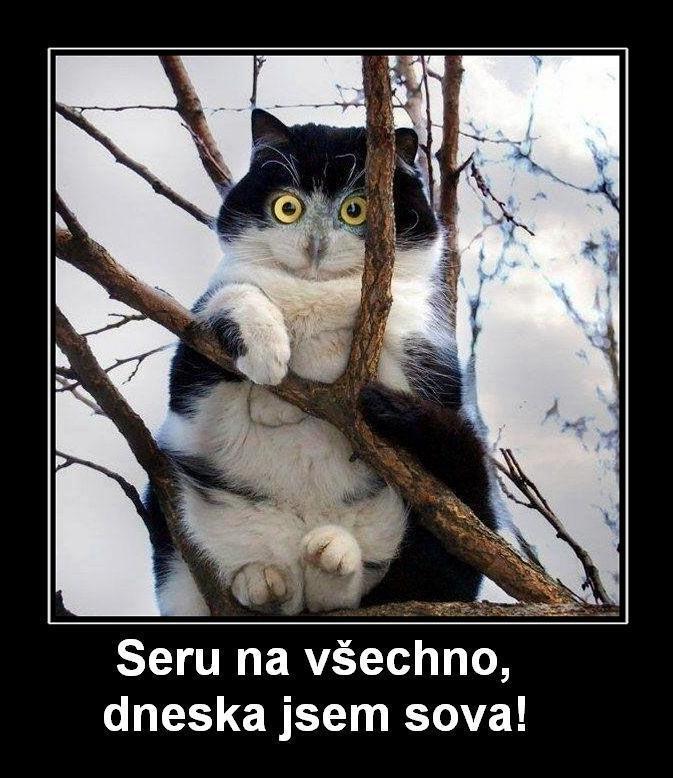 foto k příspěvku  od Only_One