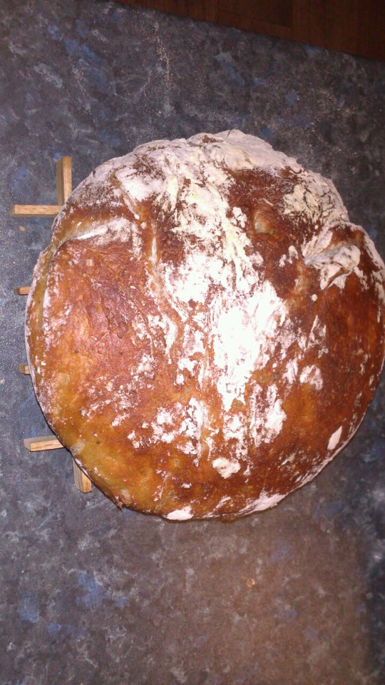 foto k příspěvku  od EFCA