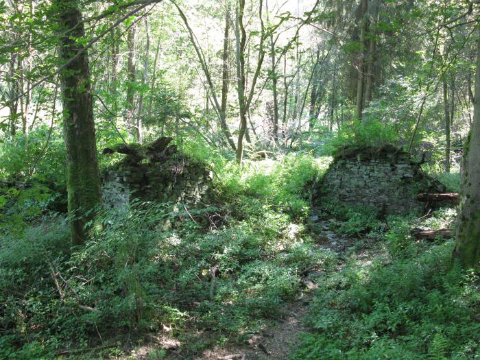 foto k příspěvku  od Jozzo