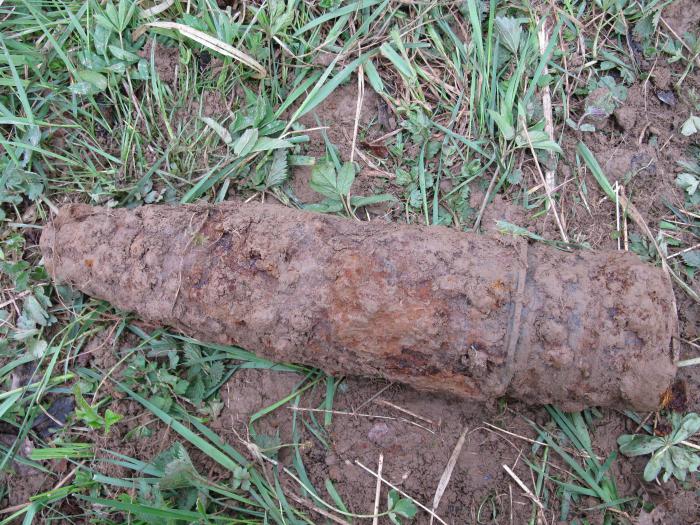 foto k příspěvku  od Jozzo