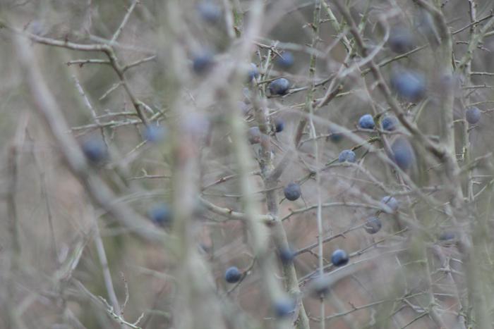 foto k příspěvku  od kuja
