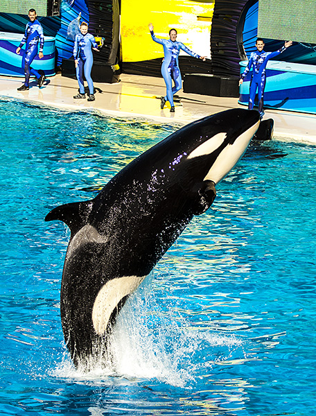 foto k příspěvku  od lukee_cz