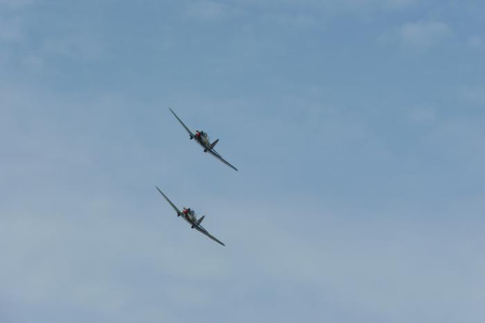 foto k příspěvku  od Losky