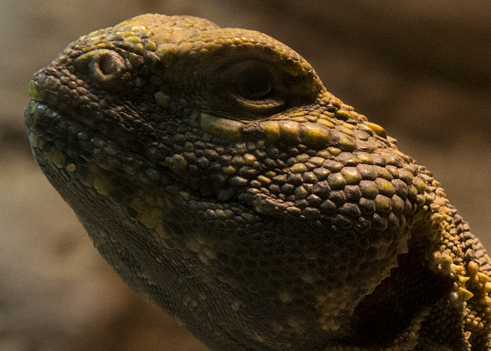 foto k příspěvku  od Bingi