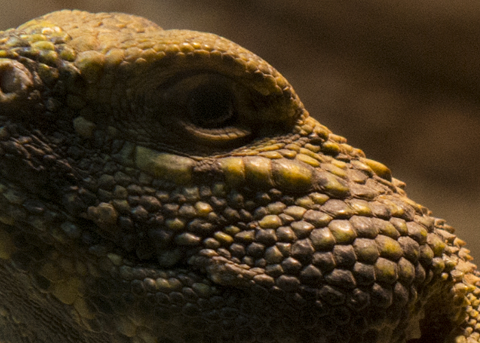 foto k příspěvku  od Bingi