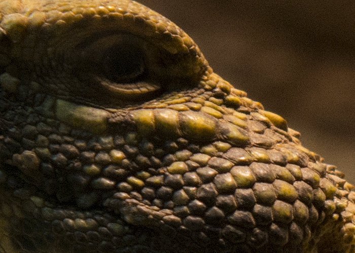 foto k příspěvku  od Bingi