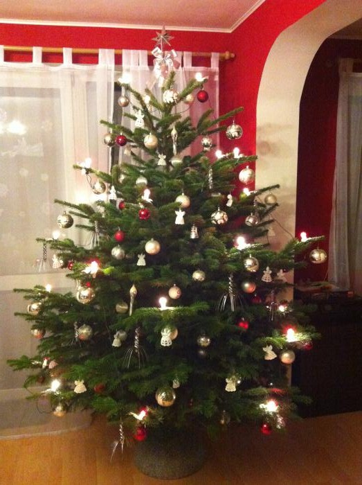 foto k příspěvku  od Jozzo