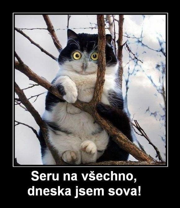 foto k příspěvku  od SilverGhost