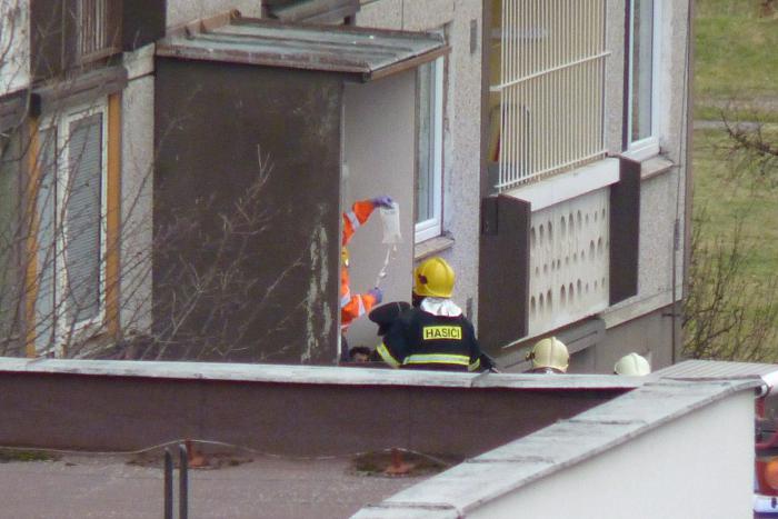 foto k příspěvku  od Losky