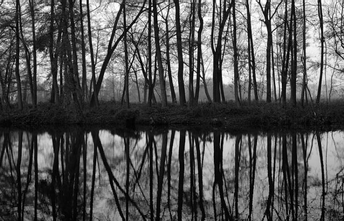 foto k příspěvku  od Proffesor_W