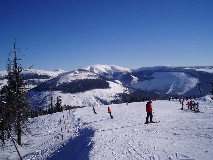 foto k příspěvku  od Crimson