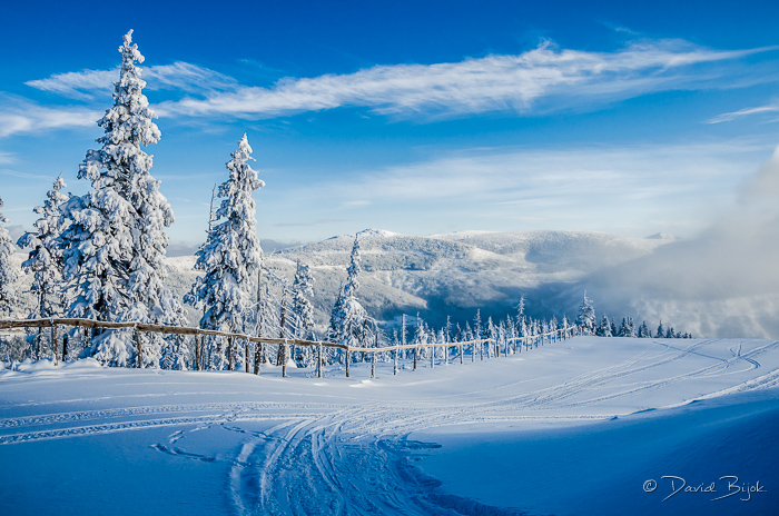 foto k příspěvku  od Dave0401