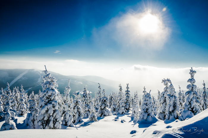 foto k příspěvku  od Dave0401