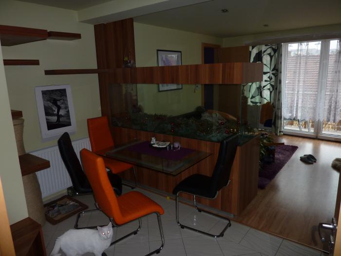 foto k příspěvku  od rover (WoodTech)