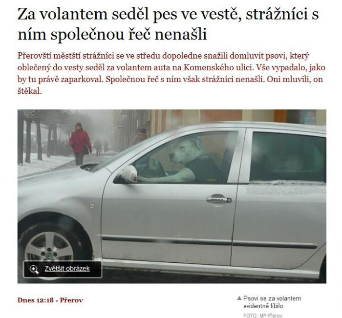 foto k příspěvku  od Rustapha-659