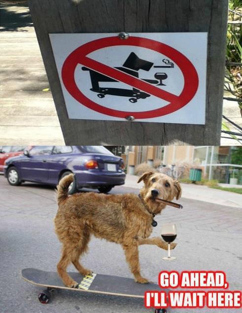 foto k příspěvku  od Nismo.Power