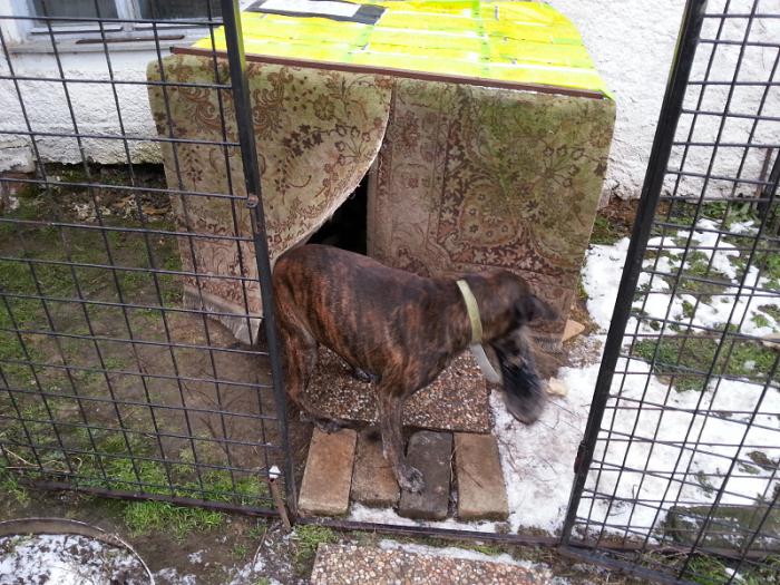 foto k příspěvku  od HIGHTOWER