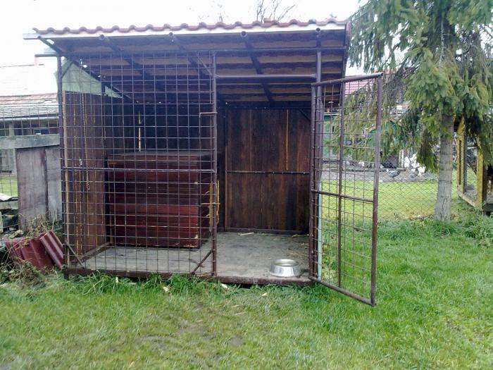 foto k příspěvku  od japonec1