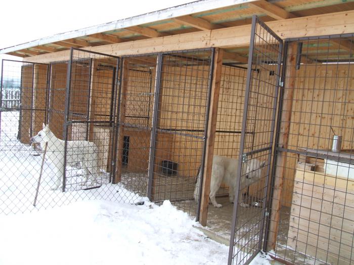 foto k příspěvku  od Kallin