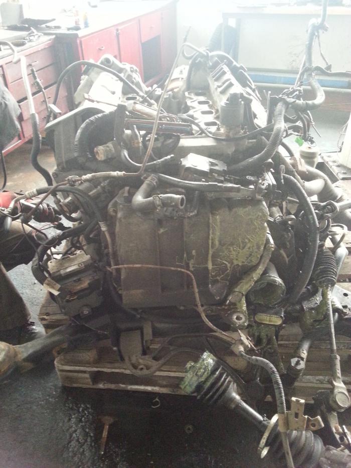 foto k příspěvku  od Drtič