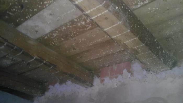 foto k příspěvku  od Mac Háček