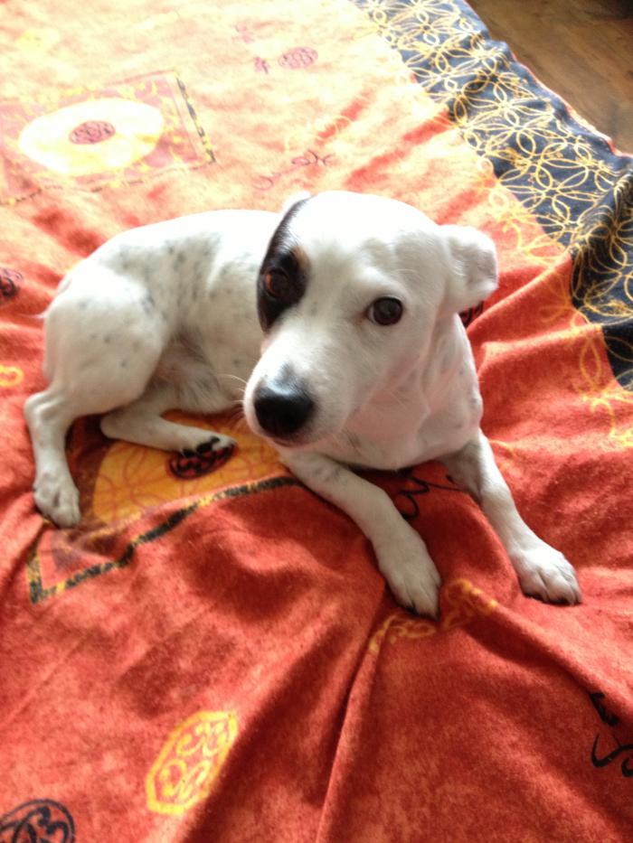 foto k příspěvku  od fredy