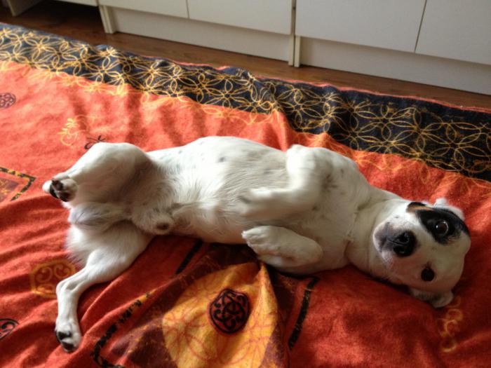 foto k příspěvku  od fredy