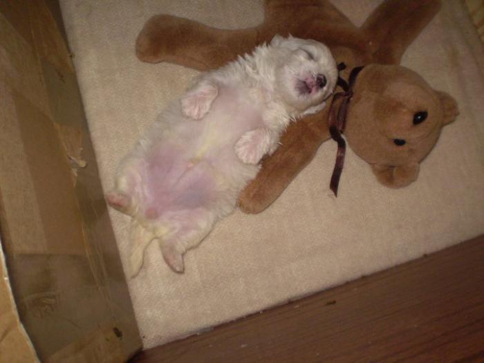 foto k příspěvku  od Luboš1